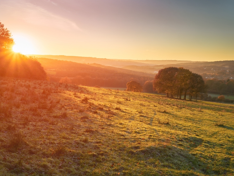 Reclaiming Your Energy as the Seasons Change